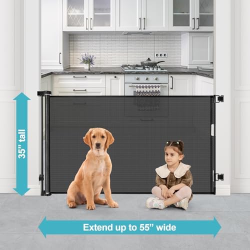 41908tJZMQLACjpg Amazon Promo Page