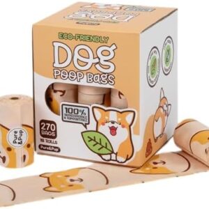 41xIe9T6pfLACjpg Amazon Promo Page