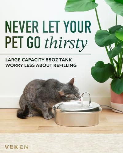 41XPn8lkLACjpg Amazon Promo Page