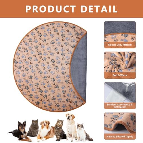 51CNE0xKvLACjpg Amazon Promo Page