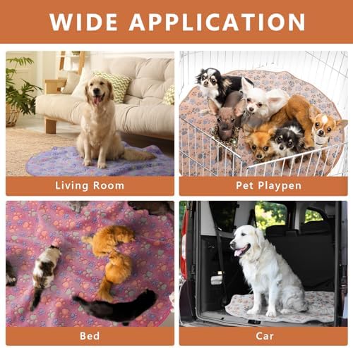 51HDRH1yLACjpg Amazon Promo Page