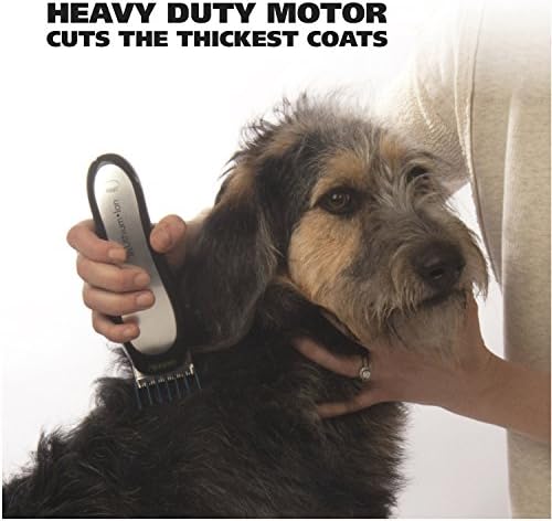 51QdZB7FhzLACjpg Amazon Promo Page