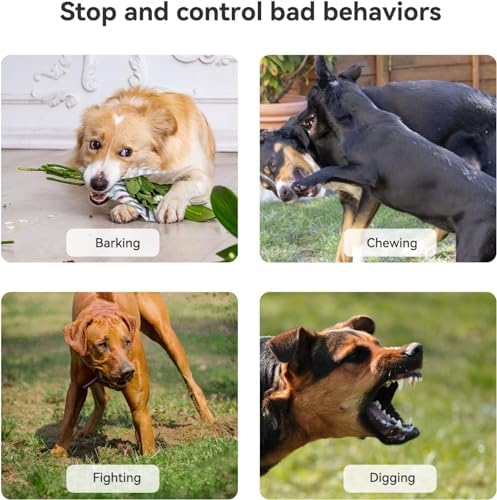 51dHxUdux8LACjpg Amazon Promo Page