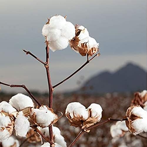 414kT3XSVLACjpg Amazon Promo Page