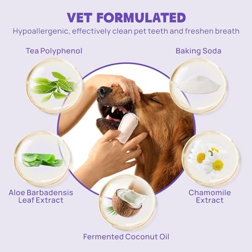 41BXBks7mILACjpg Amazon Promo Page