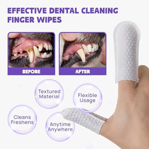 41VsLChc6jLACjpg Amazon Promo Page