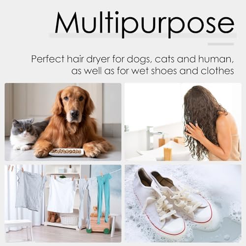 51BJ8WsfKLACjpg Amazon Promo Page