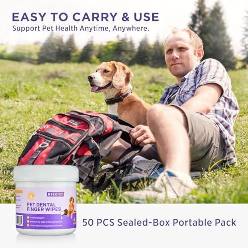 5116D0fJyLACjpg Amazon Promo Page