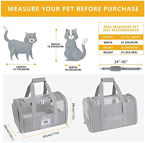 51D4jO6sp3LACjpg Amazon Promo Page