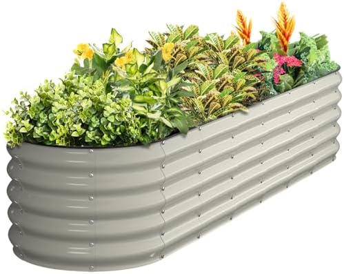 51DEgtOSGOLACjpg Amazon Promo Page