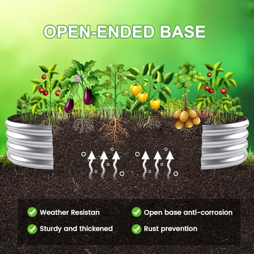 51DjZ1HOZvLACjpg Amazon Promo Page