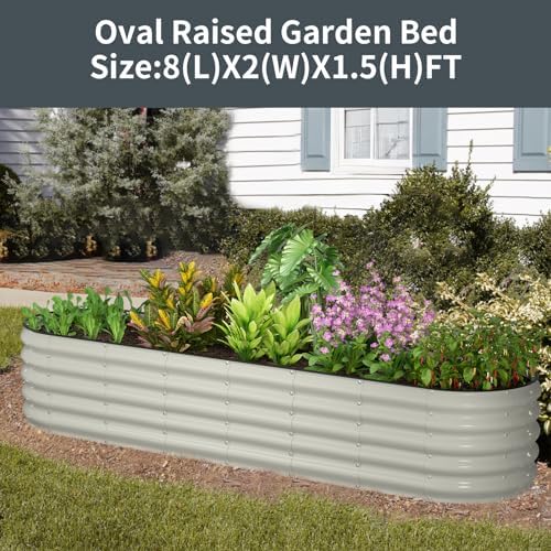 51TP7LndLACjpg Amazon Promo Page