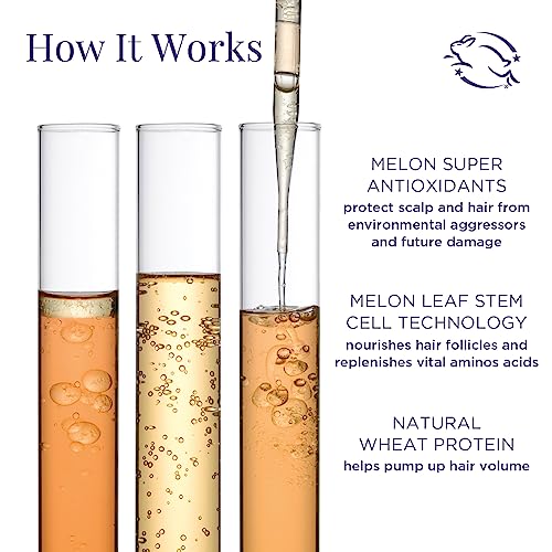 51Tihw2LFtLjpg Amazon Promo Page