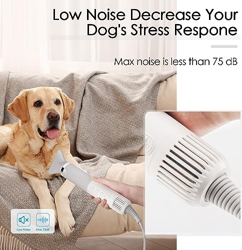 51Ylo3VedBLACjpg Amazon Promo Page