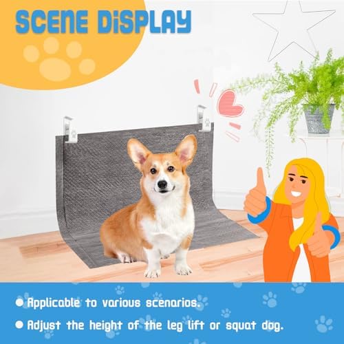 51d4VYanSuLACjpg Amazon Promo Page