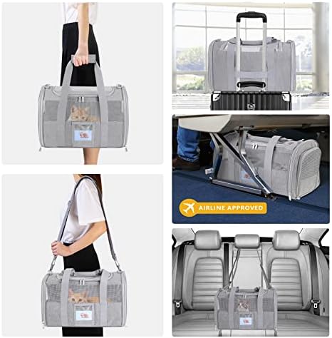 51dGxNvrEGLACjpg Amazon Promo Page