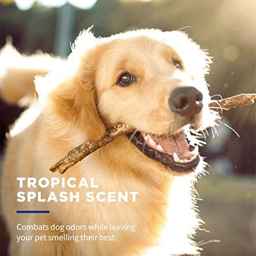 51hGanJkNoLACjpg Amazon Promo Page