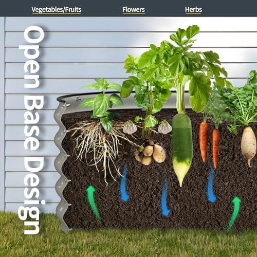 51zFHEiFVbLACjpg Amazon Promo Page