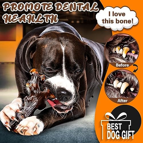 61Gs41CBcKLACjpg Amazon Promo Page