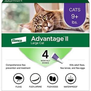 Advantage II Large Cat Vet-Recommended Flea Treatment & Prevention | Cats Over 9 lbs. | 4-Month Supply