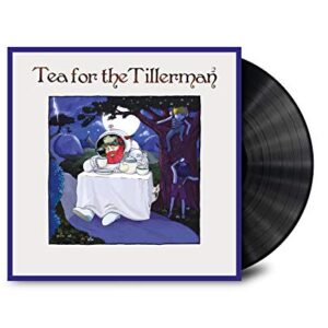 Tea For The Tillerman 2