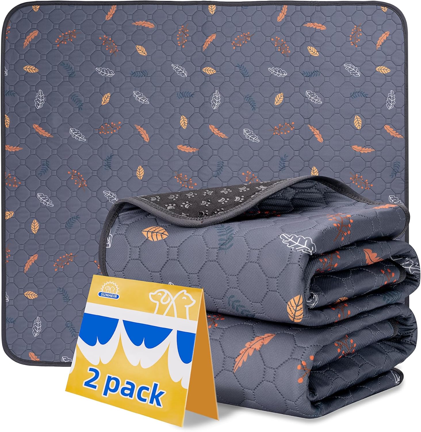 81ecmzlX6kLACSL1500jpg Amazon Promo Page